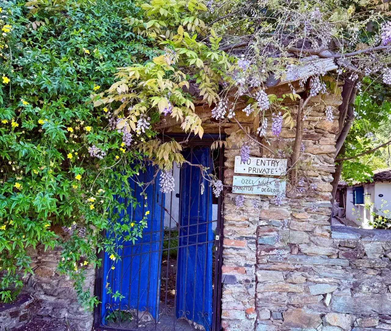 ​Ephesus and Sirince Tour
