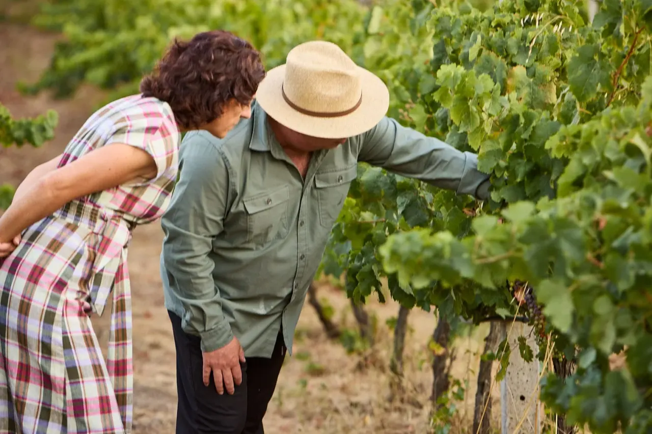 Ephesus & Wine Tasting Tour