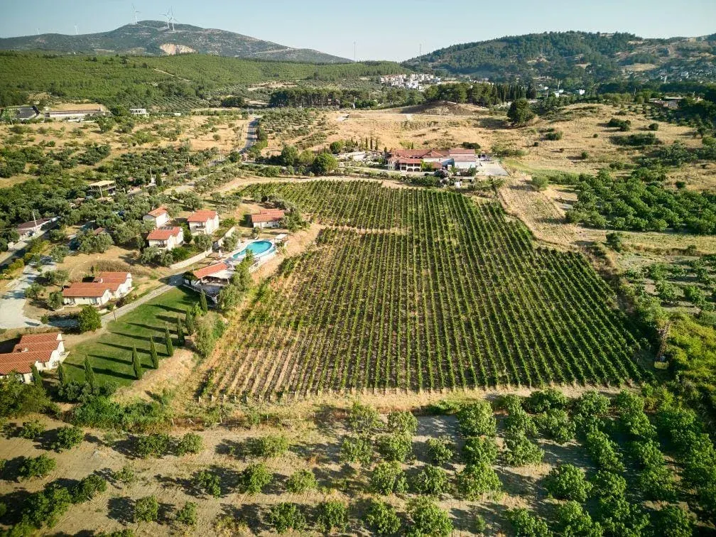 Ephesus & Wine Tasting Tour