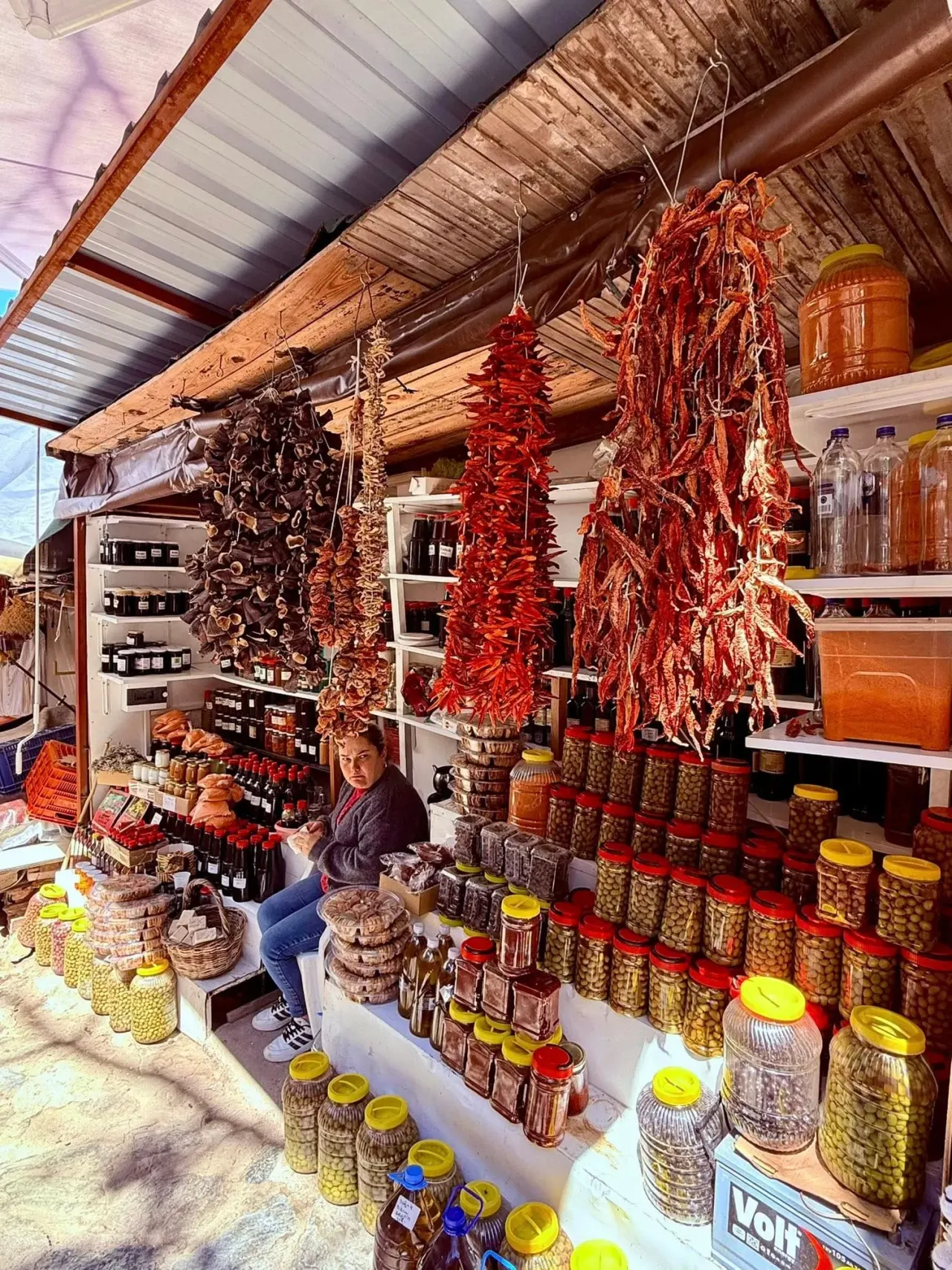 ​Ephesus and Sirince Tour