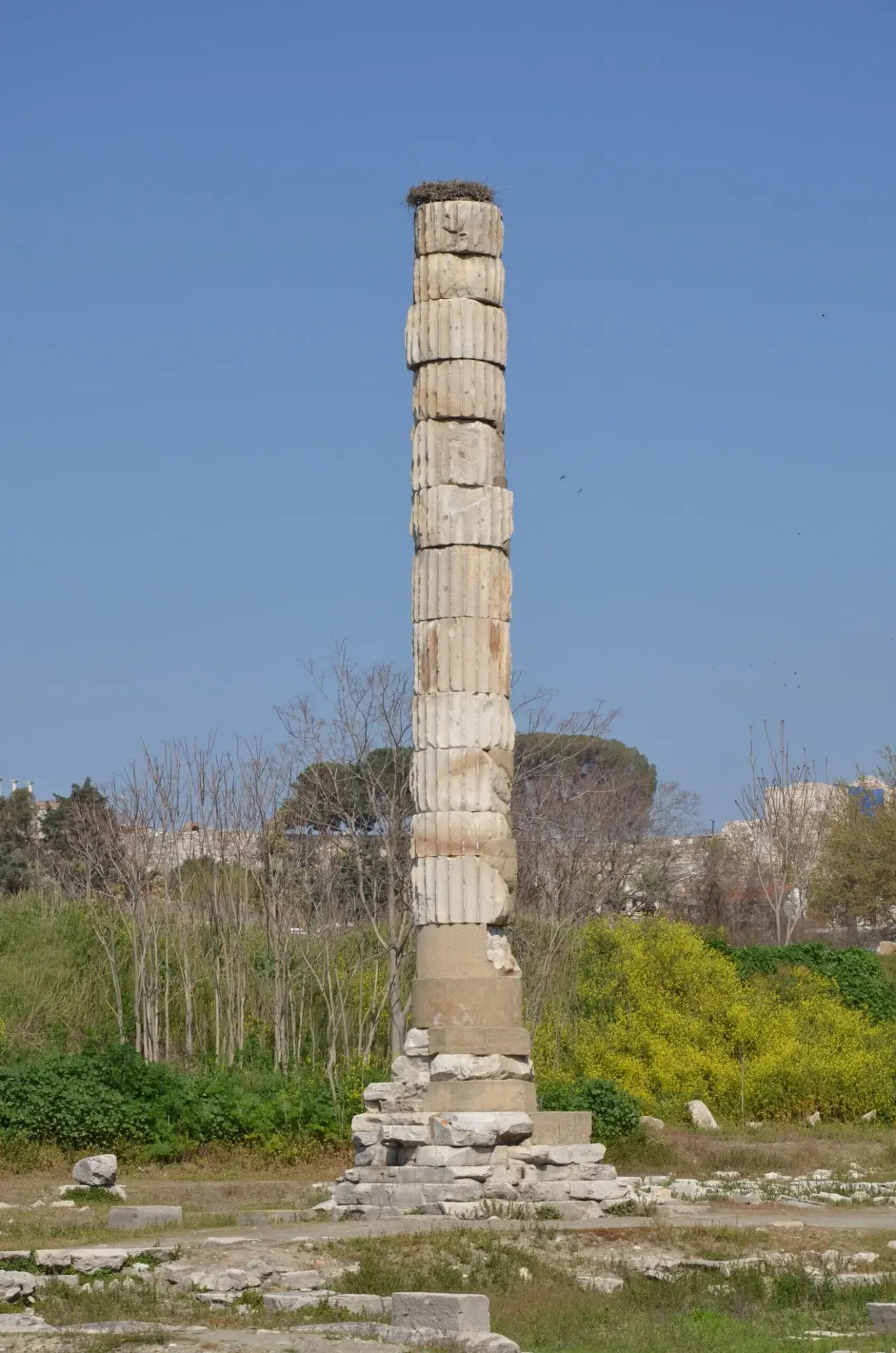 Ephesus Tour from Izmir Cruise Port