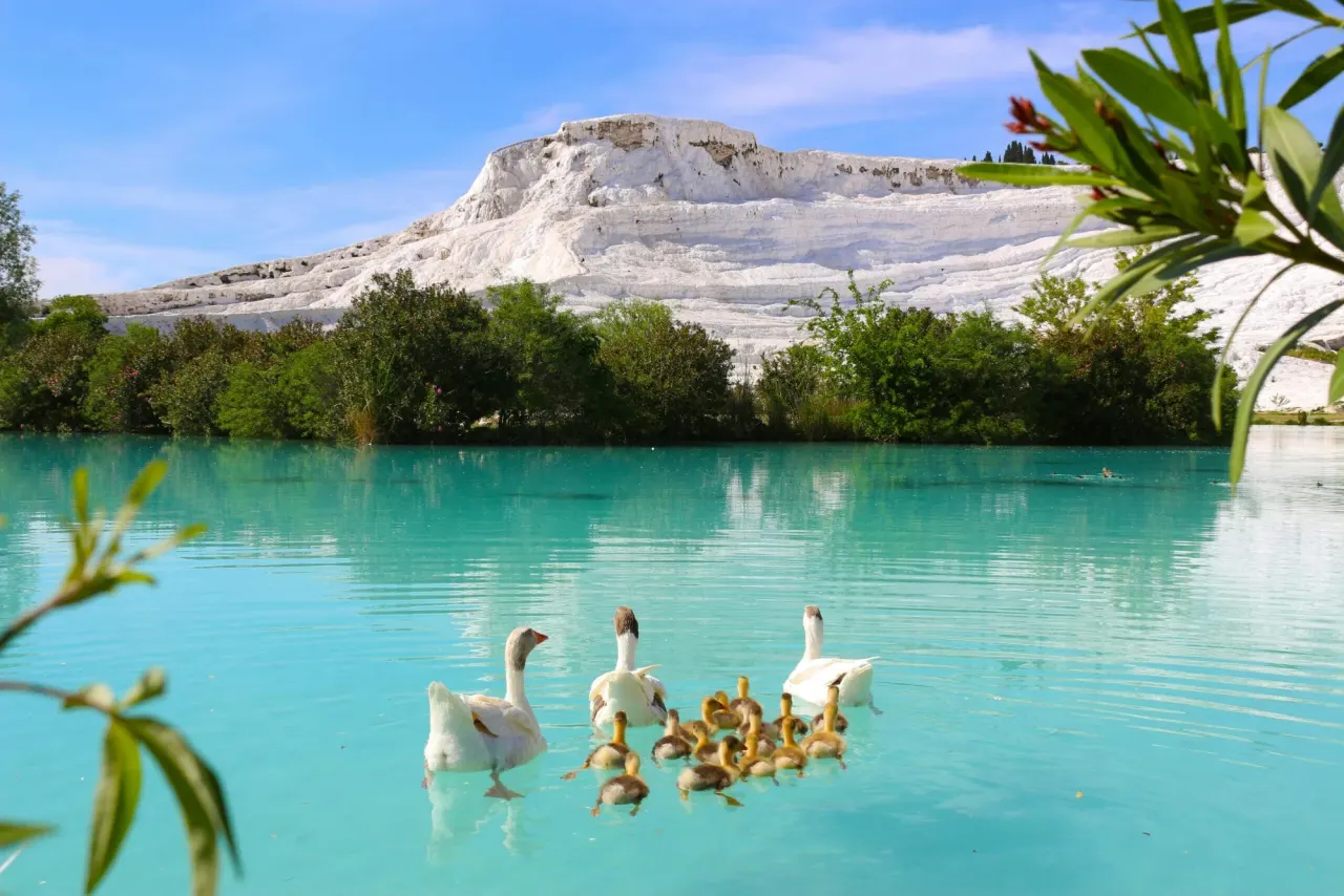 Pamukkale Group Tour