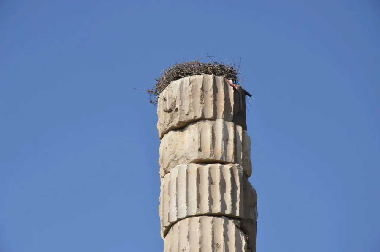 ​Ephesus and Sirince Tour