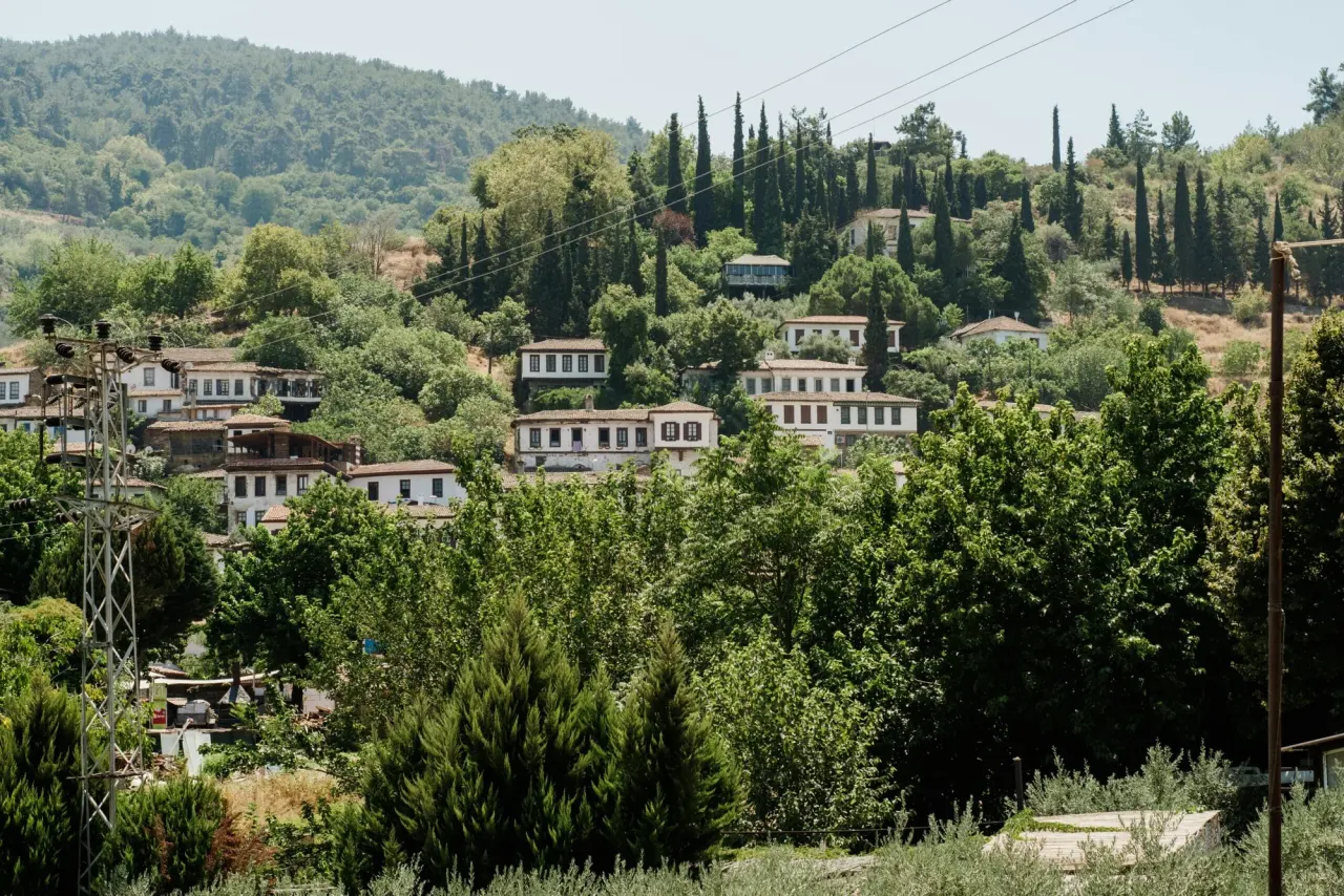 ​Ephesus and Sirince Tour