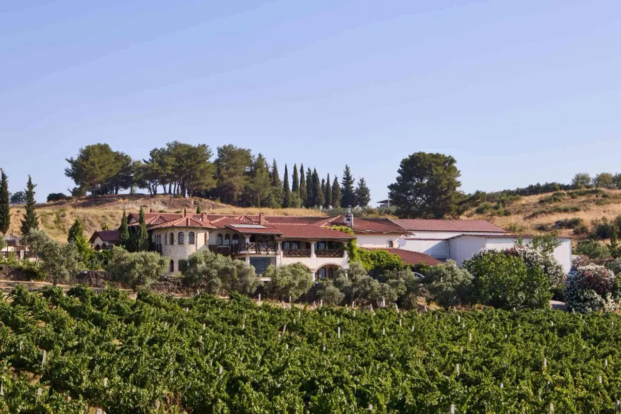 Ephesus & Wine Tasting Tour