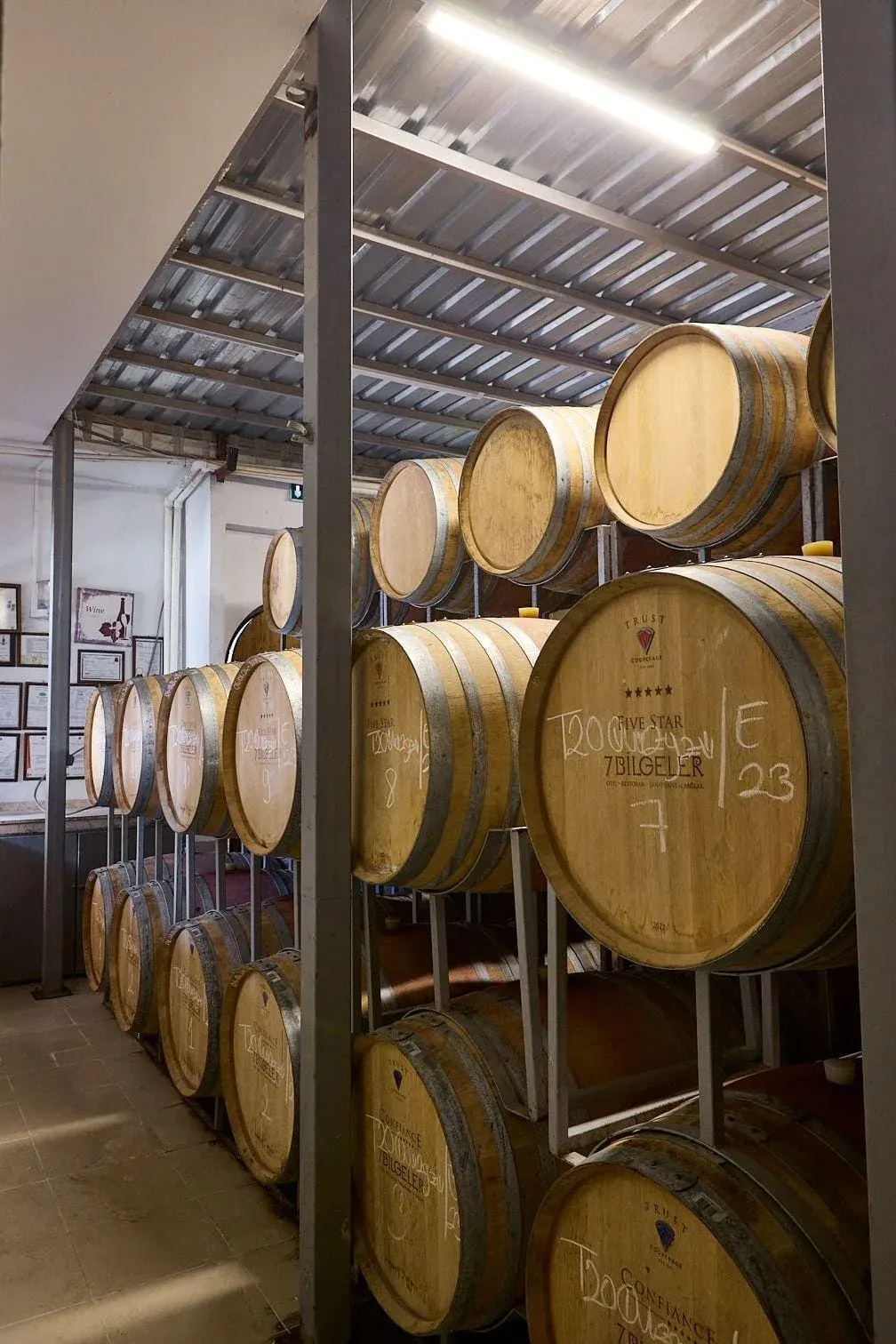 Ephesus & Wine Tasting Tour