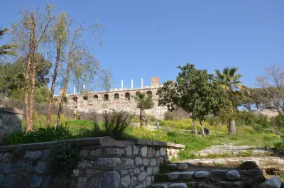 Selcuk 8