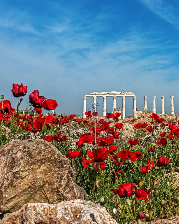 Laodicea Ancient City